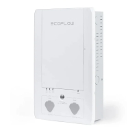 Набор EcoFlow Smart Home Panel Combo