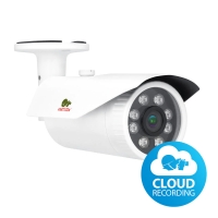 Partizan IPO-VF2MP SE 2.4 Cloud