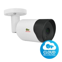 Partizan IPO-2SP SE 4.6 Cloud