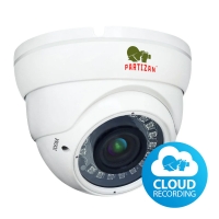 Partizan IPD-VF2MP-IR SE 2.4 Cloud