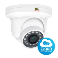 4.0MP IP камера Partizan IPD-2SP-IR SE 2.8 Cloud